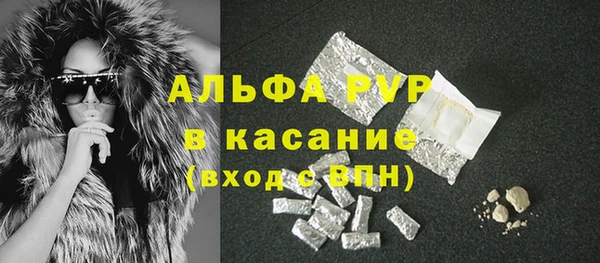 ПСИЛОЦИБИНОВЫЕ ГРИБЫ Аркадак