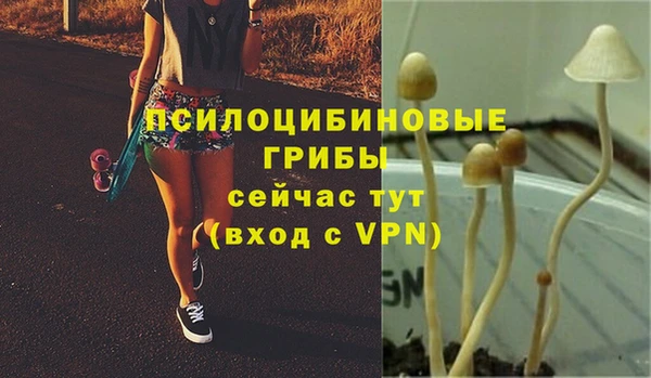 прущий лед Арсеньев