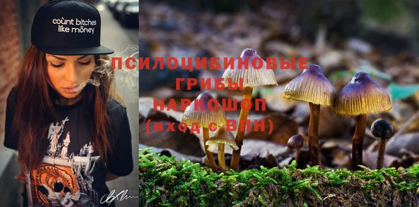 прущий лед Арсеньев