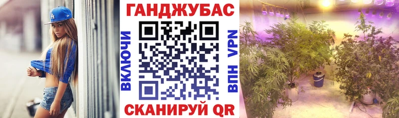 Бошки Шишки VHQ  Бор 